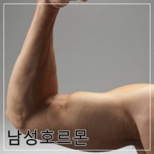 남성호르몬