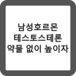 남성호르몬