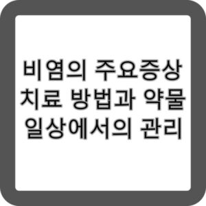 비염이란