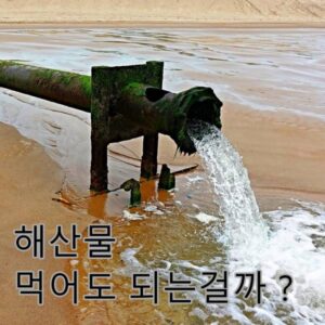 오염수 해산물