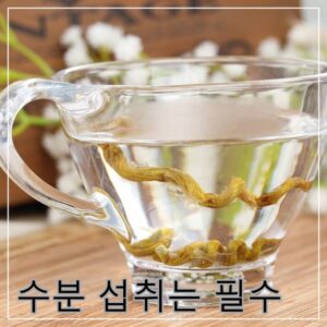 간헐적 단식 수분