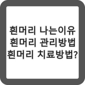 흰머리